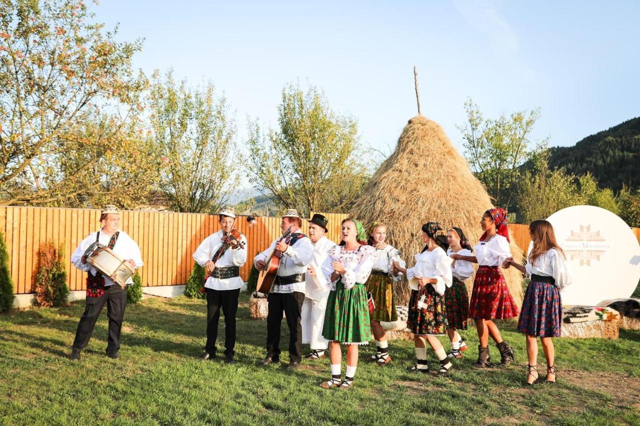 Pensiunea Maramures Guesthouse วิโชเดโจส ภายนอก รูปภาพ