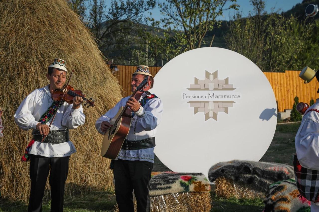 Pensiunea Maramures Guesthouse วิโชเดโจส ภายนอก รูปภาพ